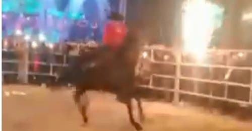 Video: José Manuel Figueroa cae de su caballo en pleno concierto