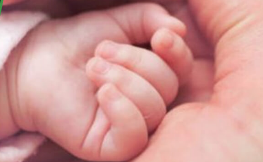 OJO: Tasa de fertilidad mundial cae 54%, la más baja desde 1980