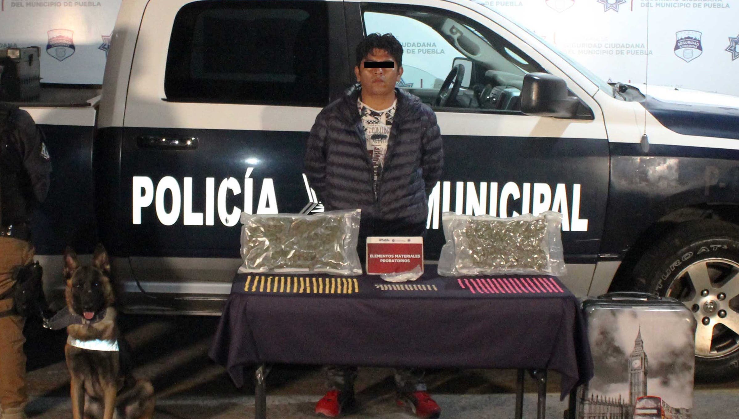 Perrito policía agarra a un narcomenudista en La CAPU