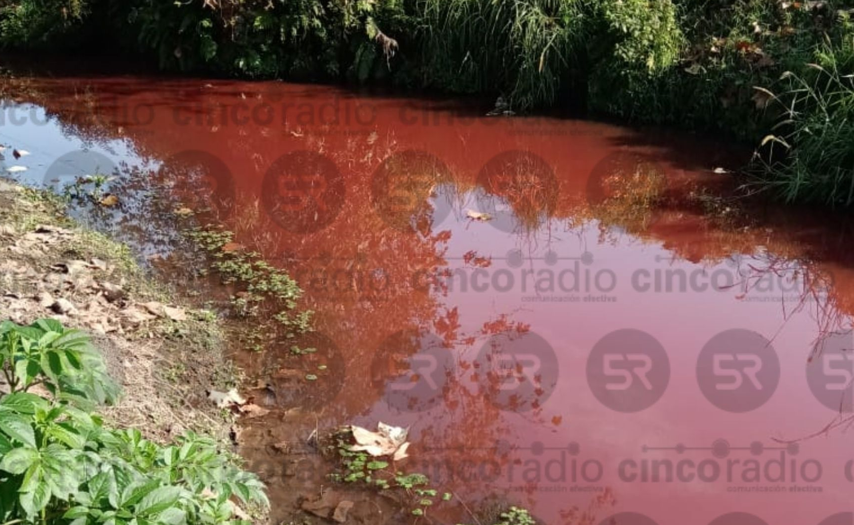 #ALMINUTO FOTOS Otro río en Puebla se pinta misteriosamente de rojo