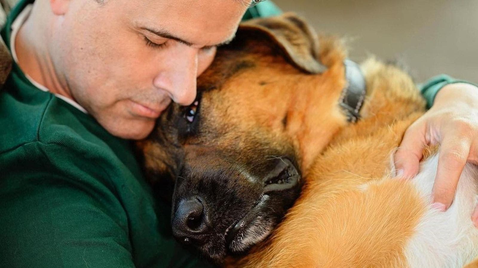 VIDEO Marco Antonio Regil rompe en llanto al dar a conocer la muerte de su amado perro Bernie