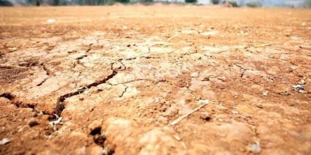 OJO Sequía provocaría desabasto de maíz en Puebla
