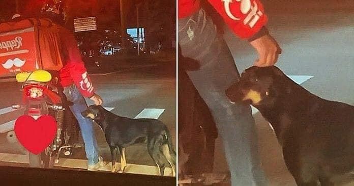 Repartidor de Rappi se hace VIRAL tras adoptar un perrito de la calle