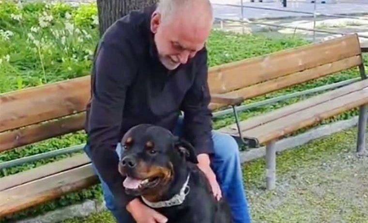 VIRAL Rottweiler corre a consolar a un extraño en el parque sin saber que lloraba a su perro fallecido