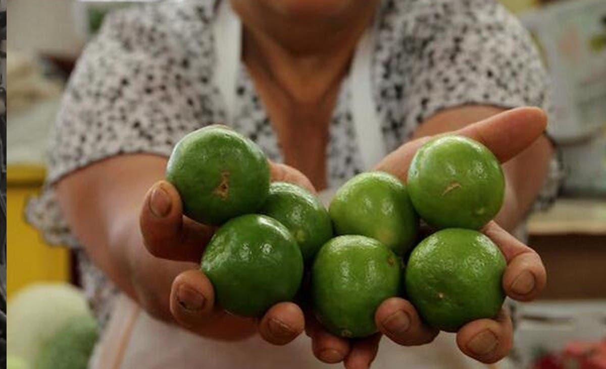 Kilo de limón se vende hasta en 80 pesos en México ¡Por las nubes!