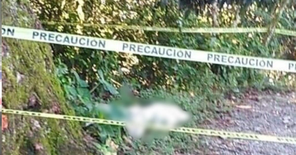 DE TERROR Violan y asesinan cruelmente a una niña de solo 10 años en Puebla; María Isabel cursaba el quinto de primaria