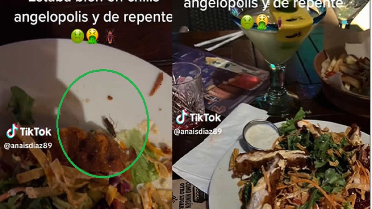 Poblana pide una ensalada en Chili’s Angelópolis, pero llega con todo y cucaracha