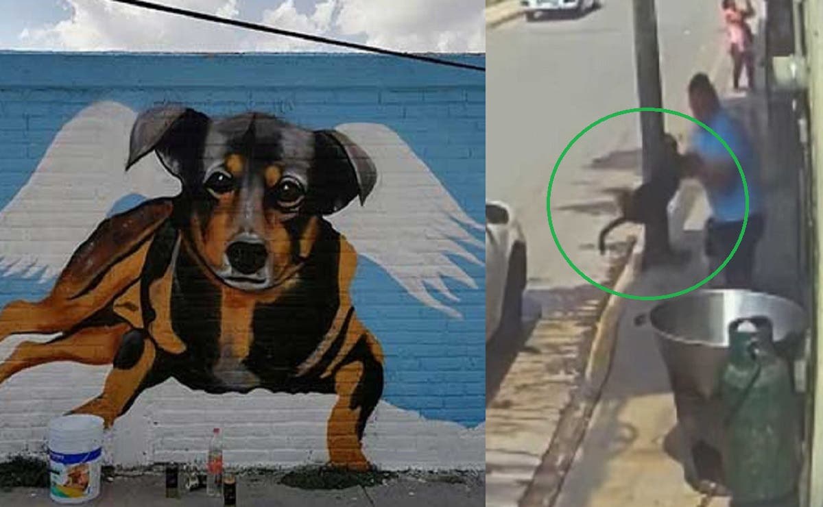 Dedican mural al perrito ‘Scooby’; fue arrojado a cazo de aceite hirviendo