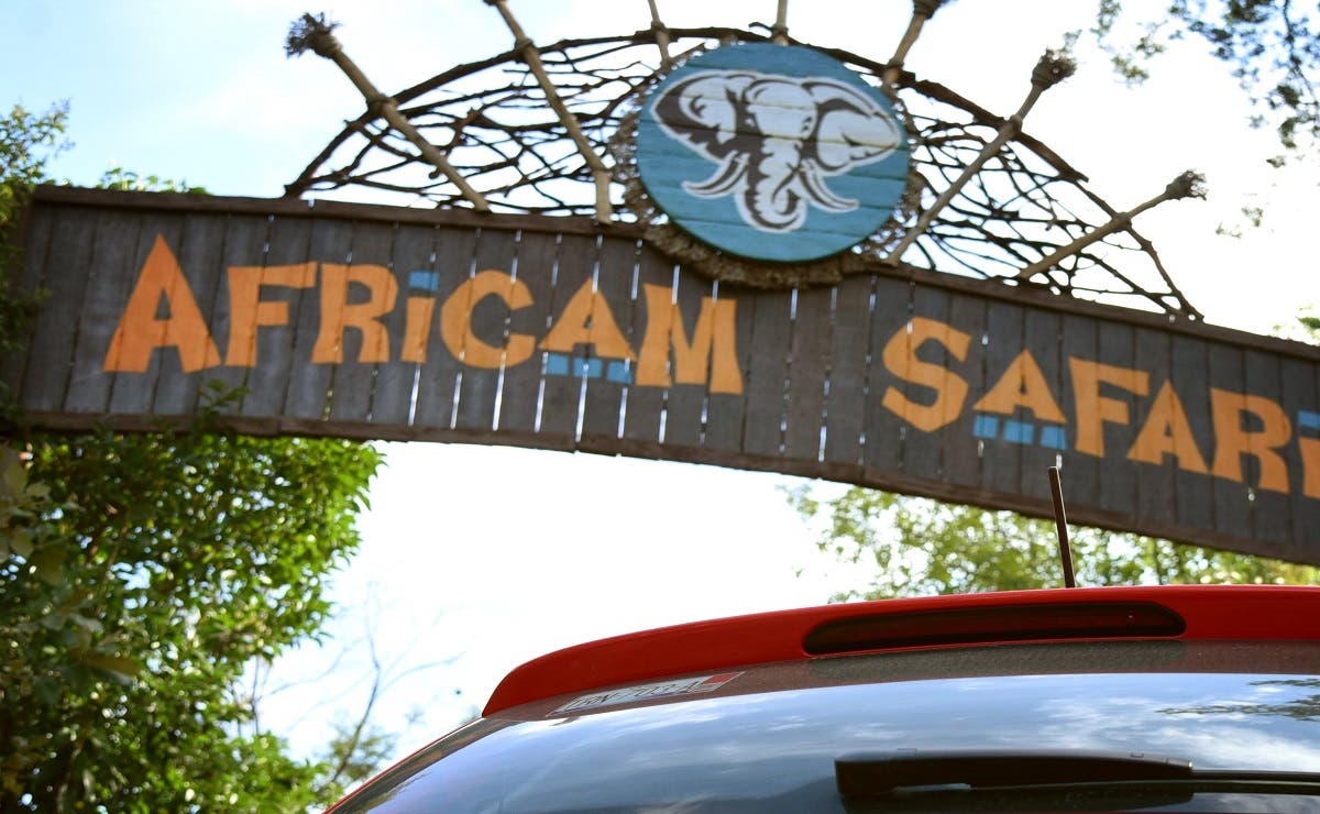 Si estás en la búsqueda de un trabajo puedes aplicar a uno de los puestos que ofrece Africam Safari