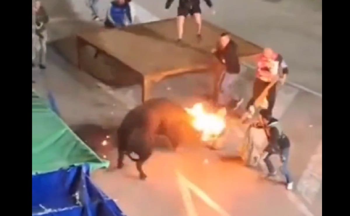 VIDEO: Toro embiste a sujeto que le prendió fuego a sus cuernos