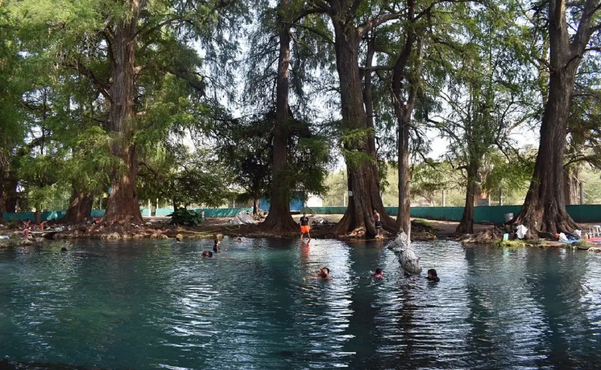 FOTOS “Los Ahuehuetes”, un paradisiaco balneario natural aquí en Puebla