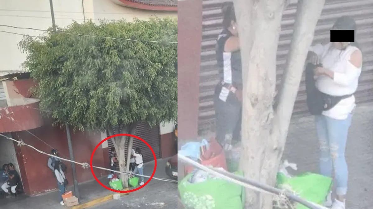 ¡Escándalo en Tehuacán! “Nenis” Comercian Hasta con Aves, Denuncian Vecinos