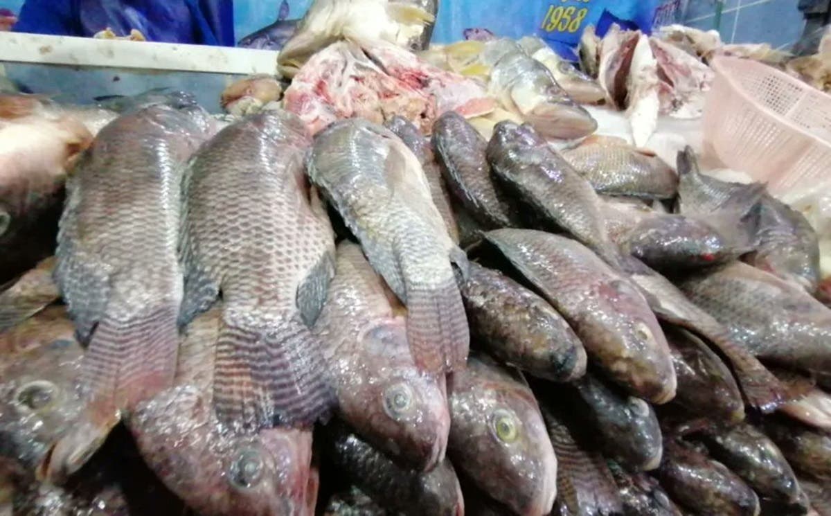 ¡Alerta! Tehuacaneros se enfrentan a altos precios de mariscos durante la Cuaresma