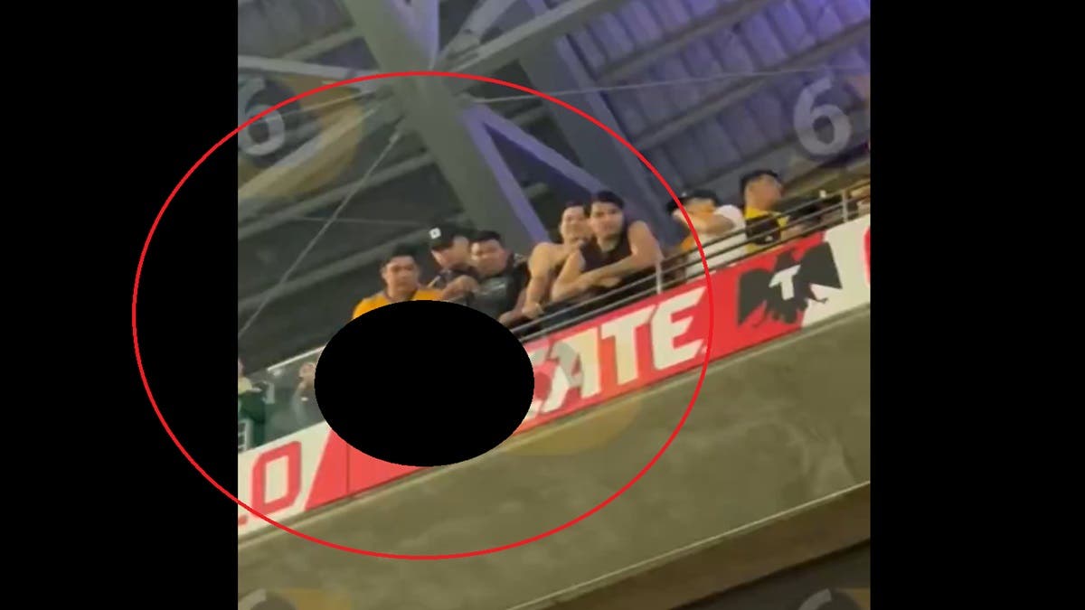 ¡Indignante acto en el Clásico Regio! Aficionado de Tigres es captado orinando en un vaso y lanzándolo a la afición de Rayados | VIDEO