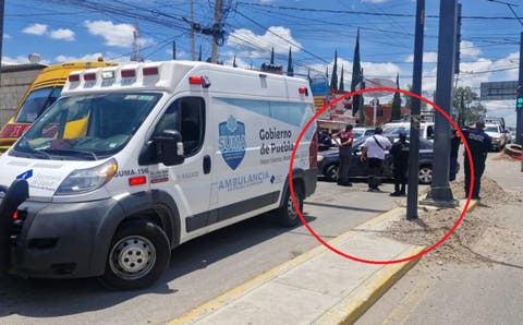 ¡Amor eterno! Abuelitos disfrutan tierna cita en el Zócalo de Puebla y conquistan las redes