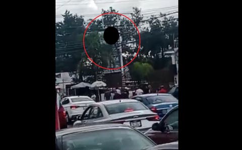 Extranjero Se Molesta al Ser Grabado por No Recoger las Heces de su Perro ¡OYE, SE TE OLVIDÓ TU CACA!