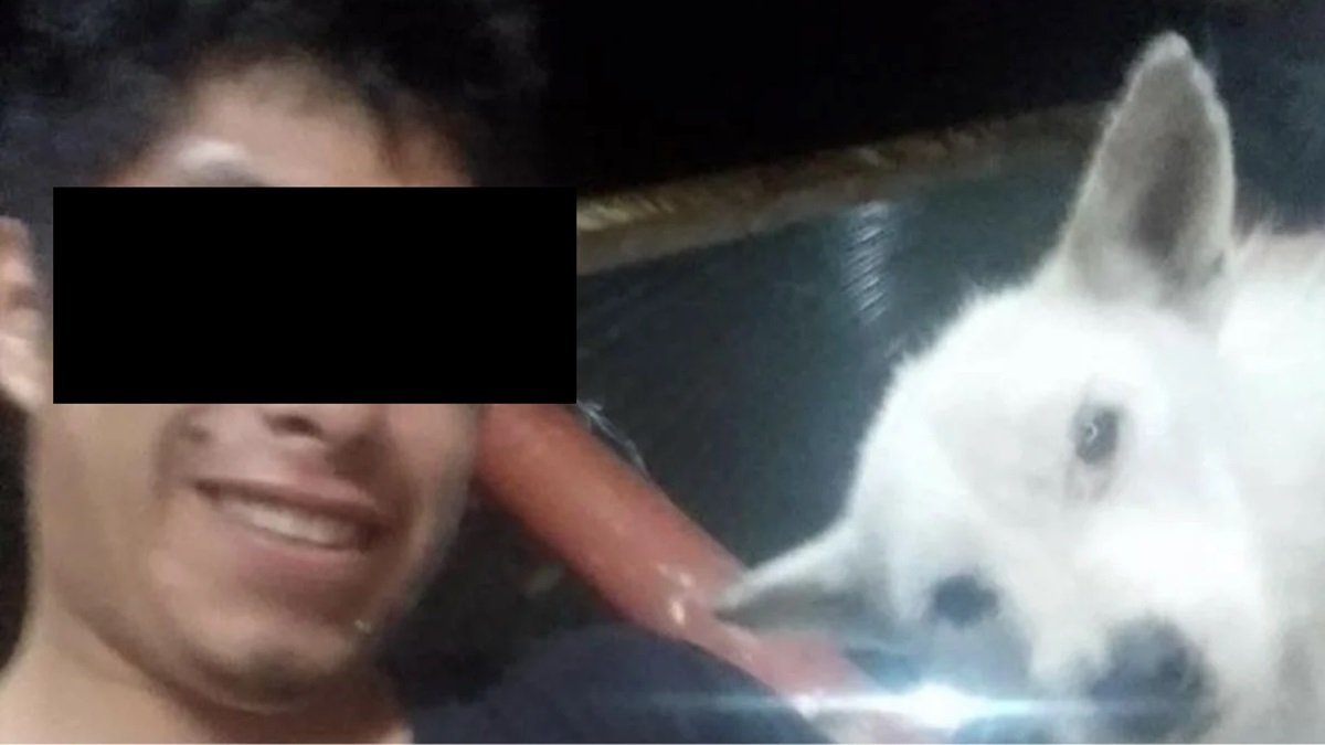 Indignación en Xicotepec: Ayuntamiento investiga a poblano que presumió el asesinato de un perrito