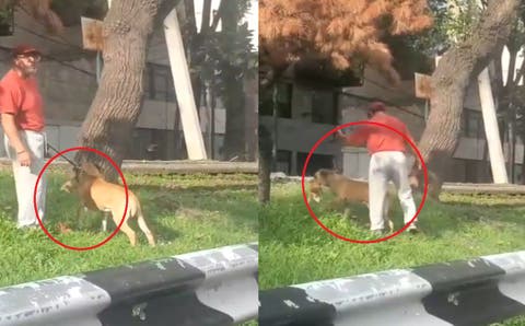 ¡Vinculan a proceso a abuelitos por ‘secuestrar’ a sus nietas en San Andrés; niñas aún desaparecidas!