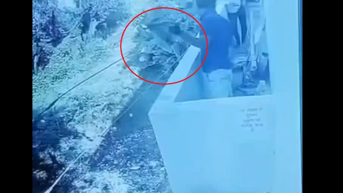 ¡Terrible tragedia captada en video! Hombre muere electrocutado al tocar un cable de alta tensión. ¡Imágenes impactantes!