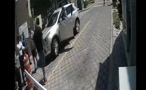 ¡Increíblemente cruel! Hombre en Acatlán dispara a perros por diversión y desata indignación