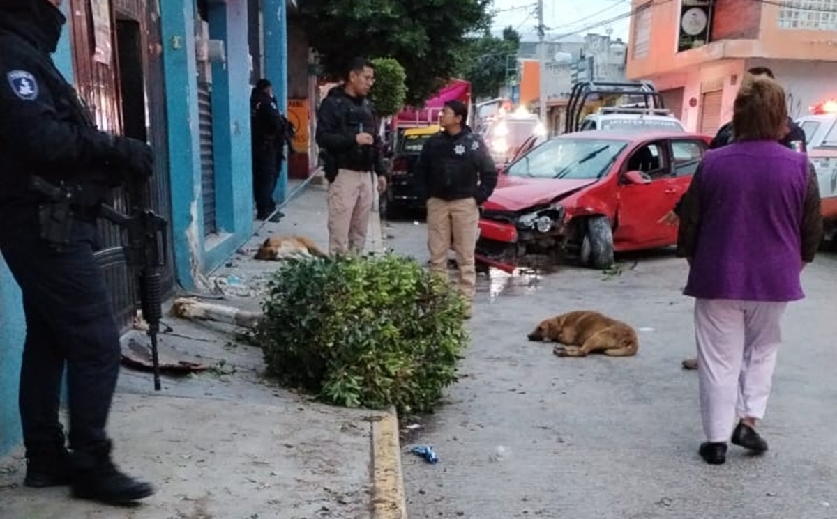 FOTOS ¡Terrible! Poblan o atropella a tres perritos que dormían en una banqueta en Xochimehuacan tras perder el control del auto