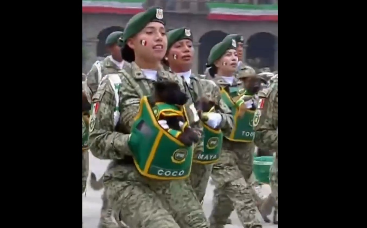 ¡Héroes de cuatro patas! Perritos Coco, Maya, Dante y Bob brillan en el Desfile Cívico-Militar
