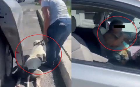 ¡Indignante! Poblanos exhibieron a mujer arrastrando a su perrito con la camioneta en Valle Dorada, Puebla