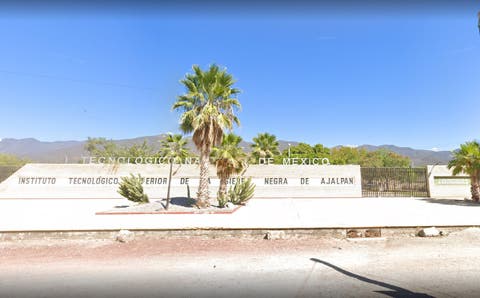 ¡Indignante! Rectora del Tec de Ajalpan habría ordenado desaparecer perros durante evento