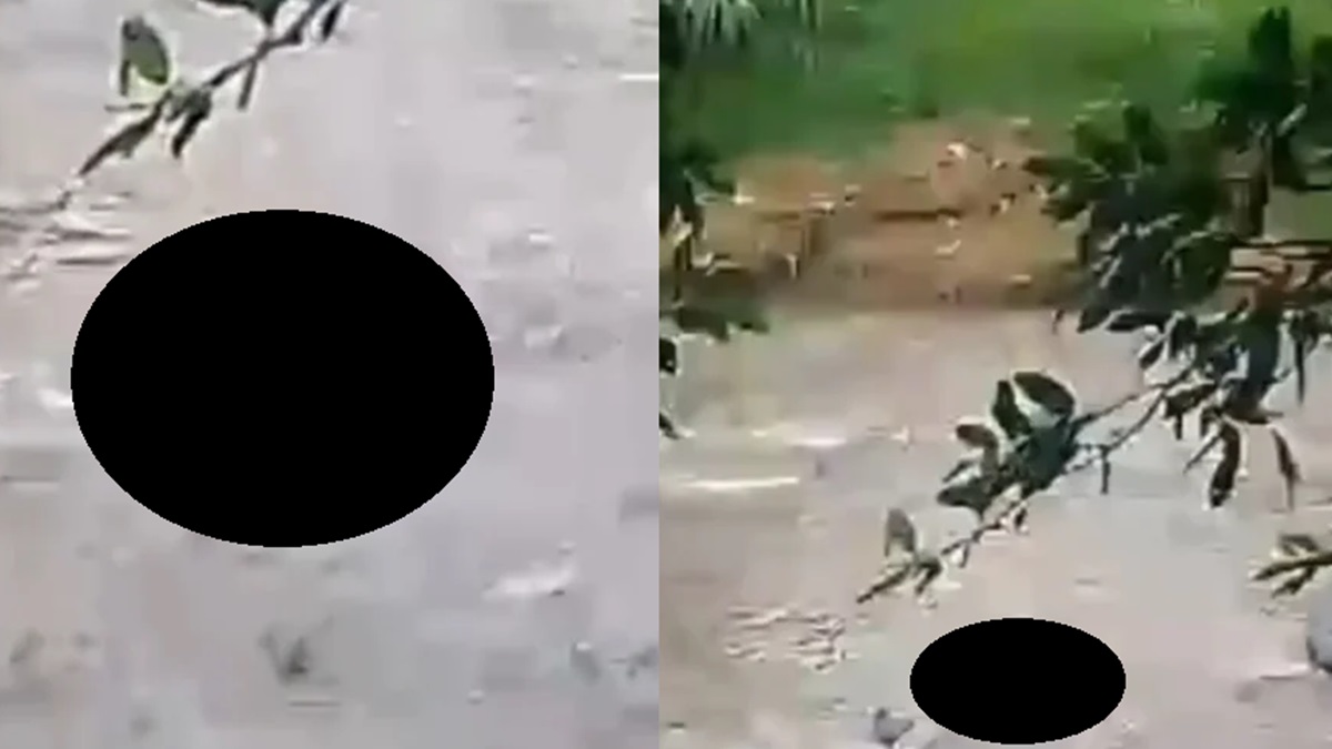 ¡Macabro hallazgo en Chietla! 💀 Encuentran cadáver a orillas de un río, se sospecha que es una mujer