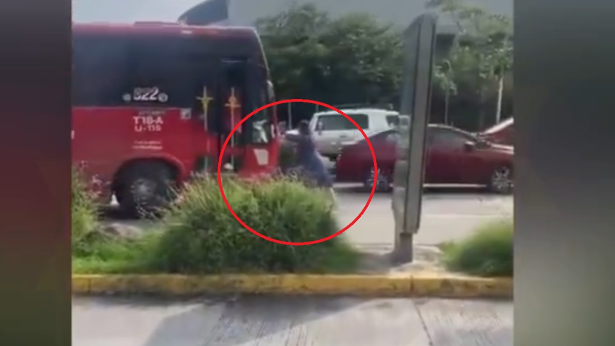 VIDEO IMPACTANTE: Mujer intenta detener autobús que atropelló a su perrito