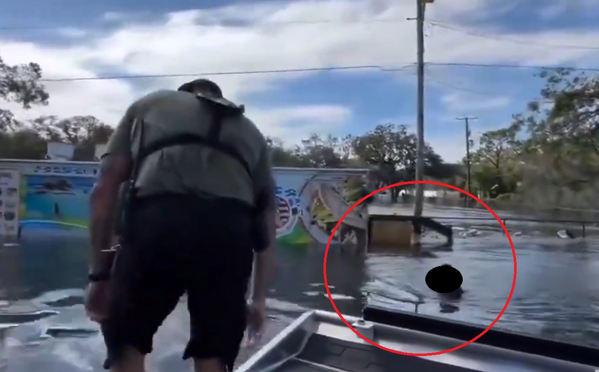 ¡Impactante rescate! Niño flotaba en un trozo de madera tras inundación del huracán Milton