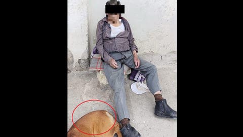 Encuentran a hombre sin vida junto a su perrito en la colonia Veracruz, Puebla