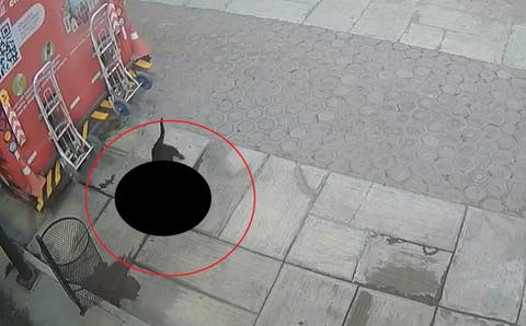 Indignante: Captan a chofer de camión de Coca-Cola atropellando a perrito inocente en Huamantla   (VIDEO)