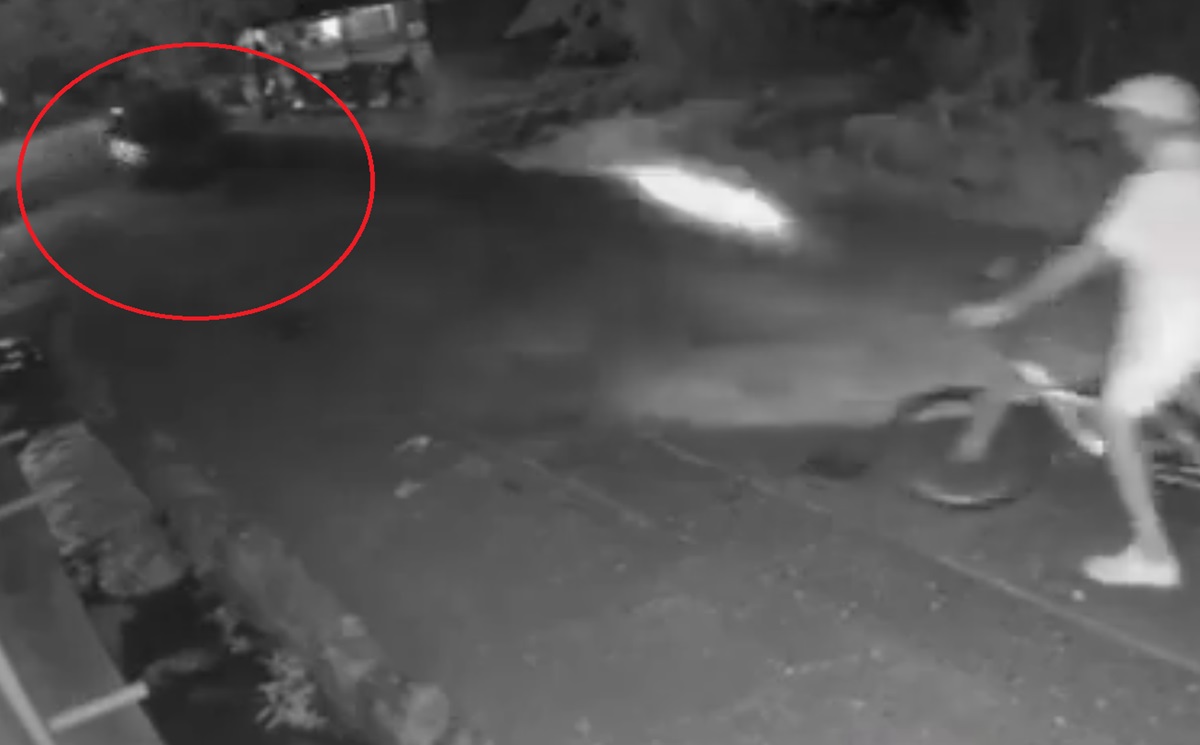 FUERTE VIDEO ¡Terrible accidente! Ciclista es brutalmente arrollado por un coche a exceso de velocidad