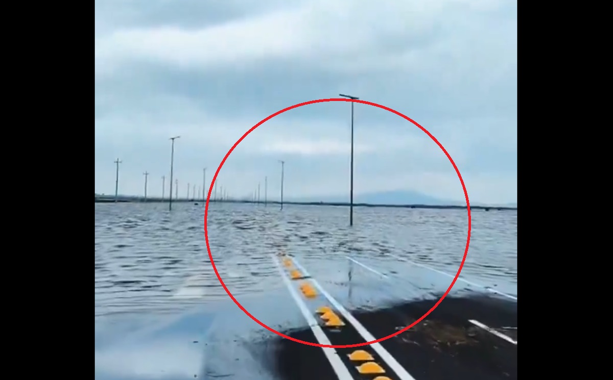 VIDEO Parque Ecológico Lago de Texcoco: a un mes de su inauguración, solo accesible en “lancha”; fue una inversión millonaria