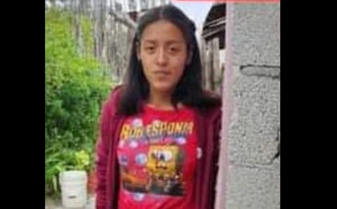 Familiares buscan a Andrea Elizabeth, joven embarazada desaparecida en Puebla