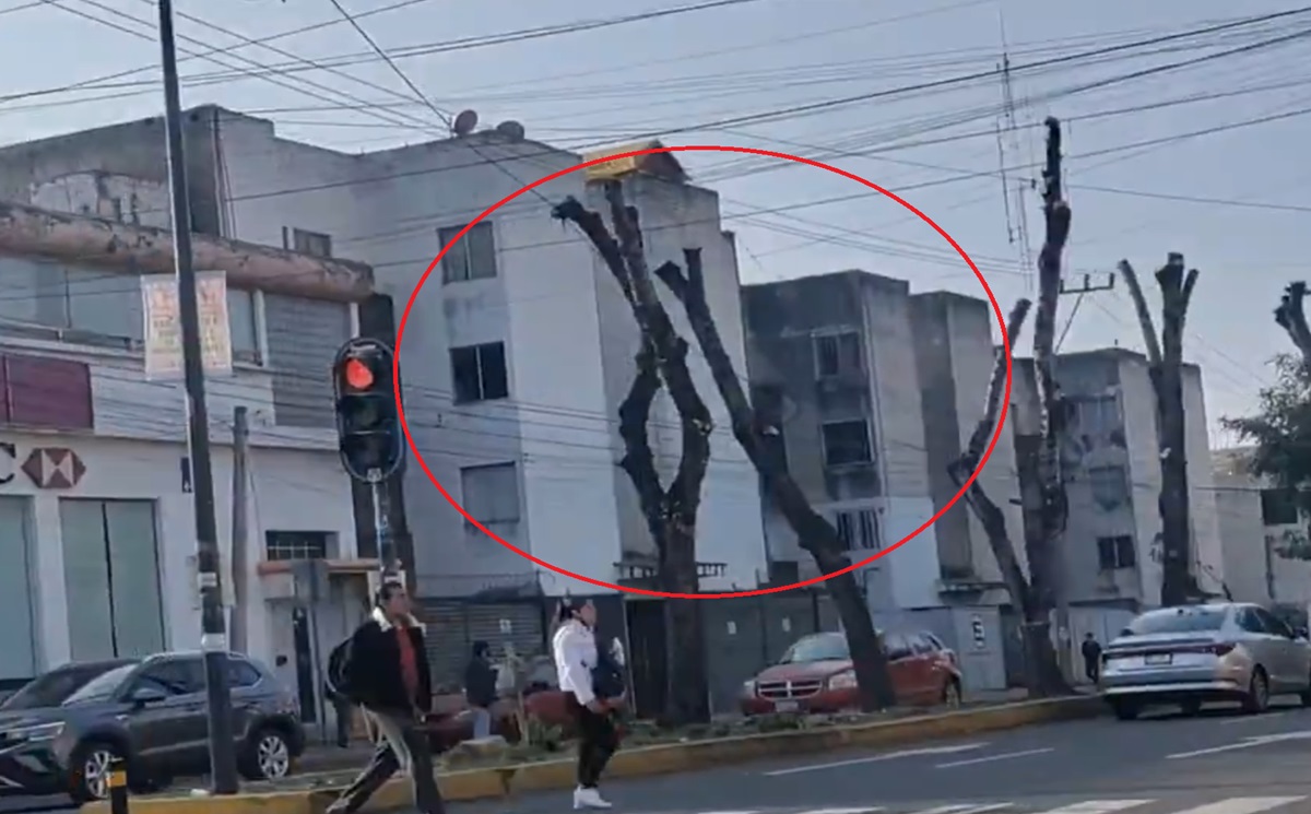 Indignante: Poblanos denuncian ecocidio y tala de árboles en Circuito Juan Pablo II