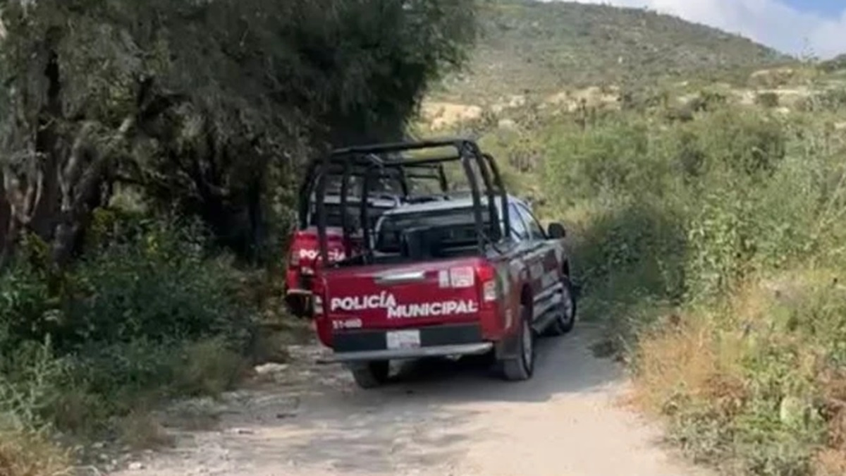 Macabro hallazgo en Puebla: Encuentran cuerpo de hombre devorado por fauna