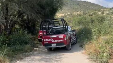Macabro hallazgo en Puebla: Encuentran cuerpo de hombre devorado por fauna