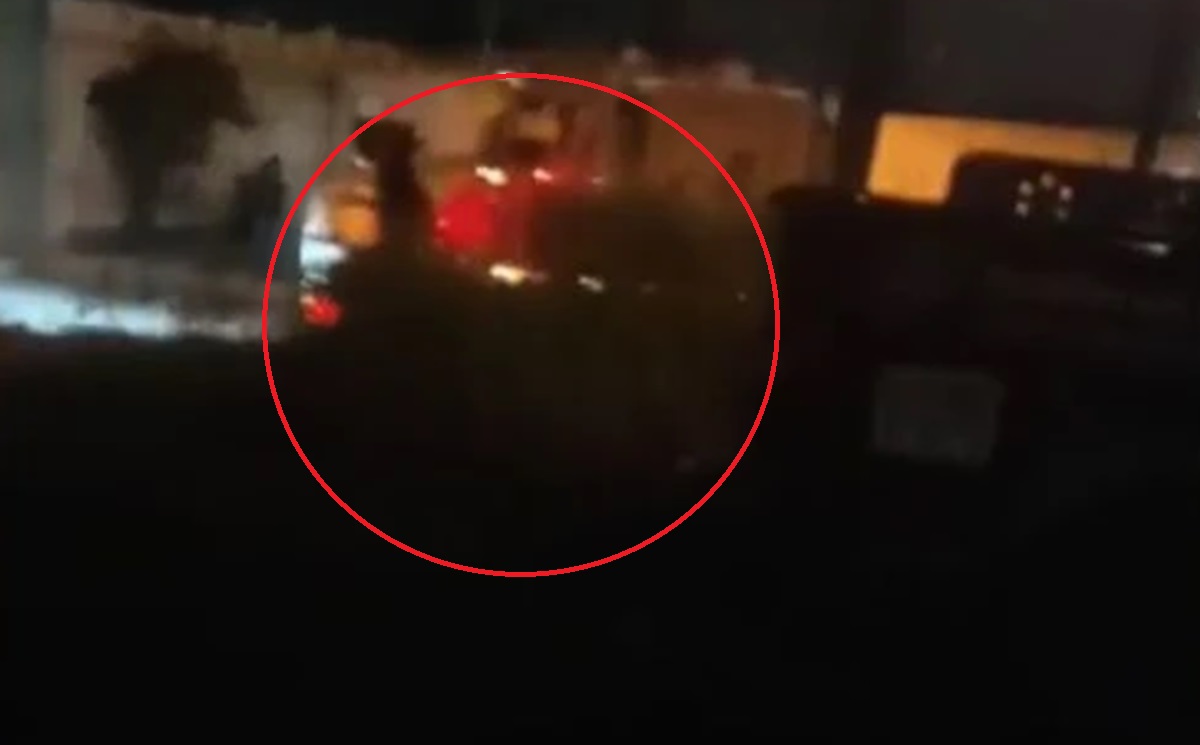 Recuperan tráiler robado tras persecución y balacera en la Puebla-Orizaba