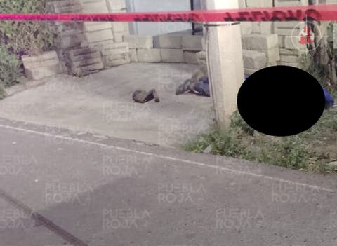 Tragedia en Puebla: Joven muere al lanzarse de una patrulla en movimiento
