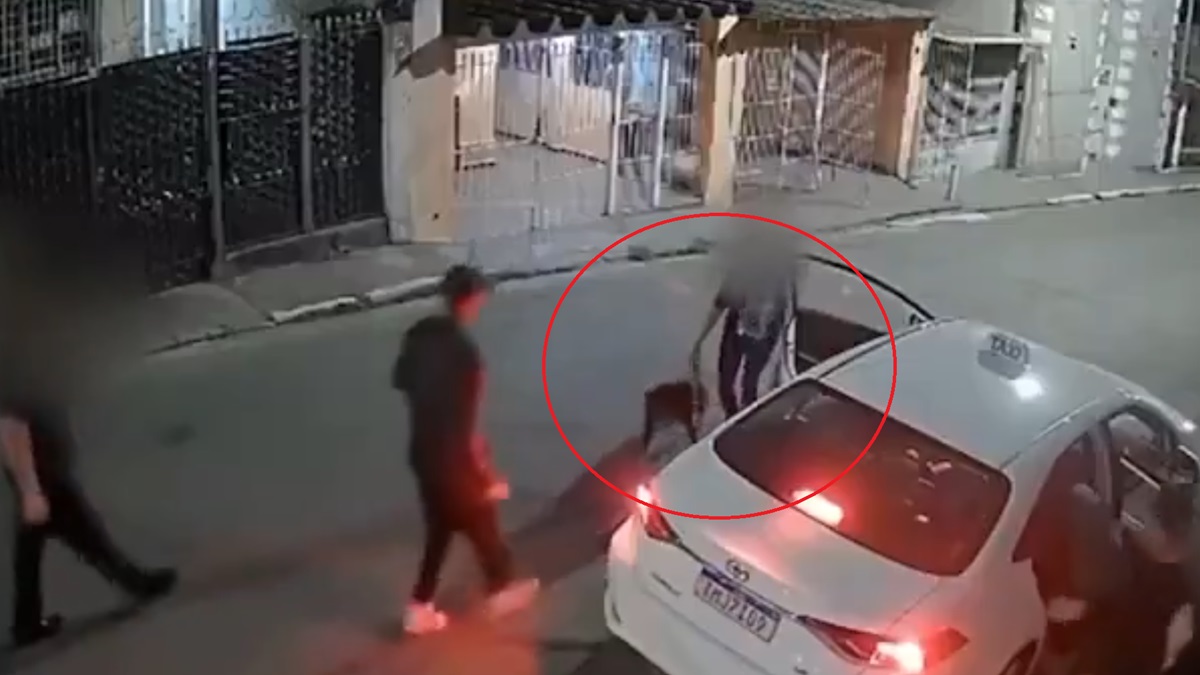 ¡Su héroe tiene cuatro patas! Mujer suelta a su pitbull y frustra asalto a una familia