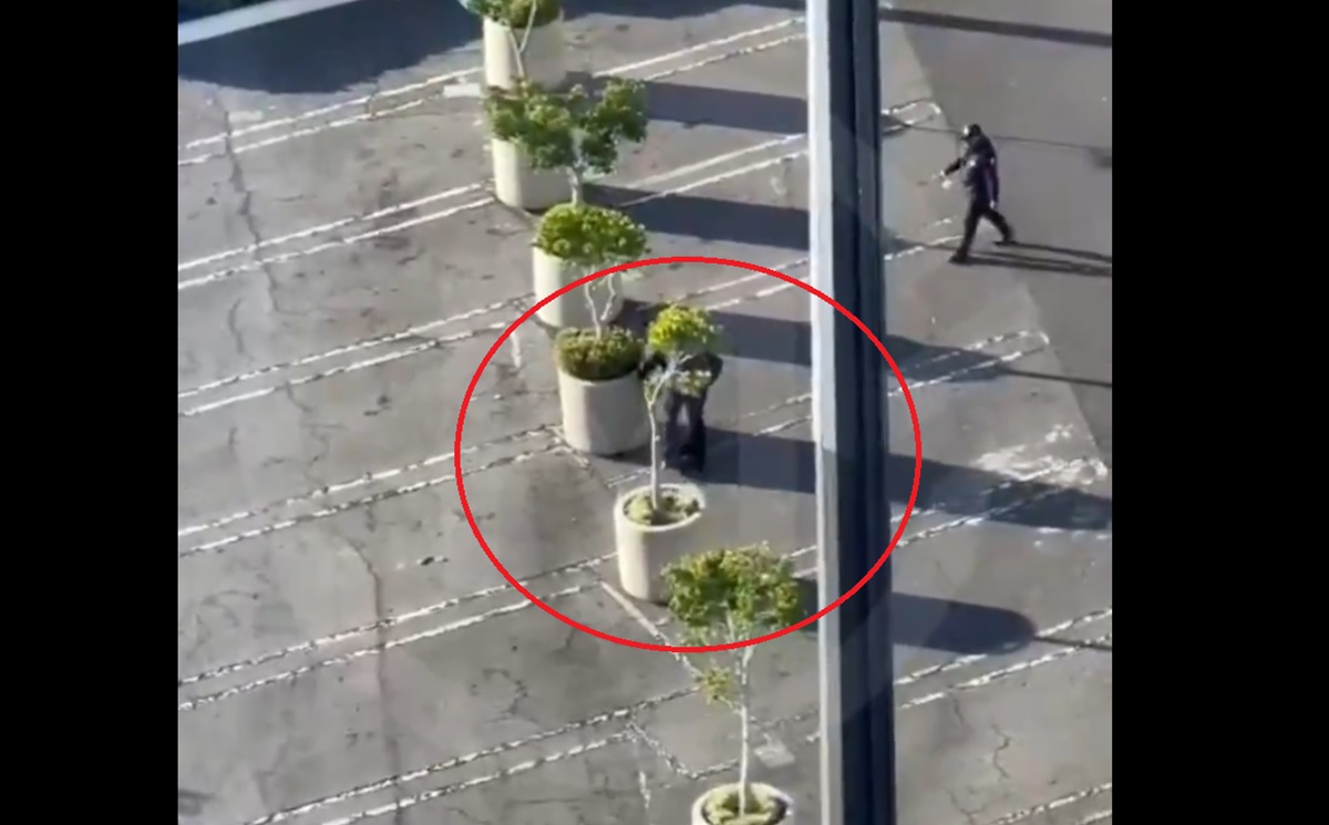 Captan a policías de Puebla maltratando a una paloma en el Estacionamiento de Angelópolis
