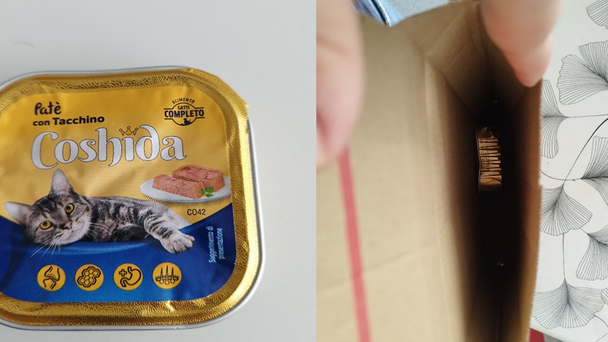 ¡Cuidado con las compras en línea! Compra celular de 14 mil pesos en Amazon y recibe comida para gato