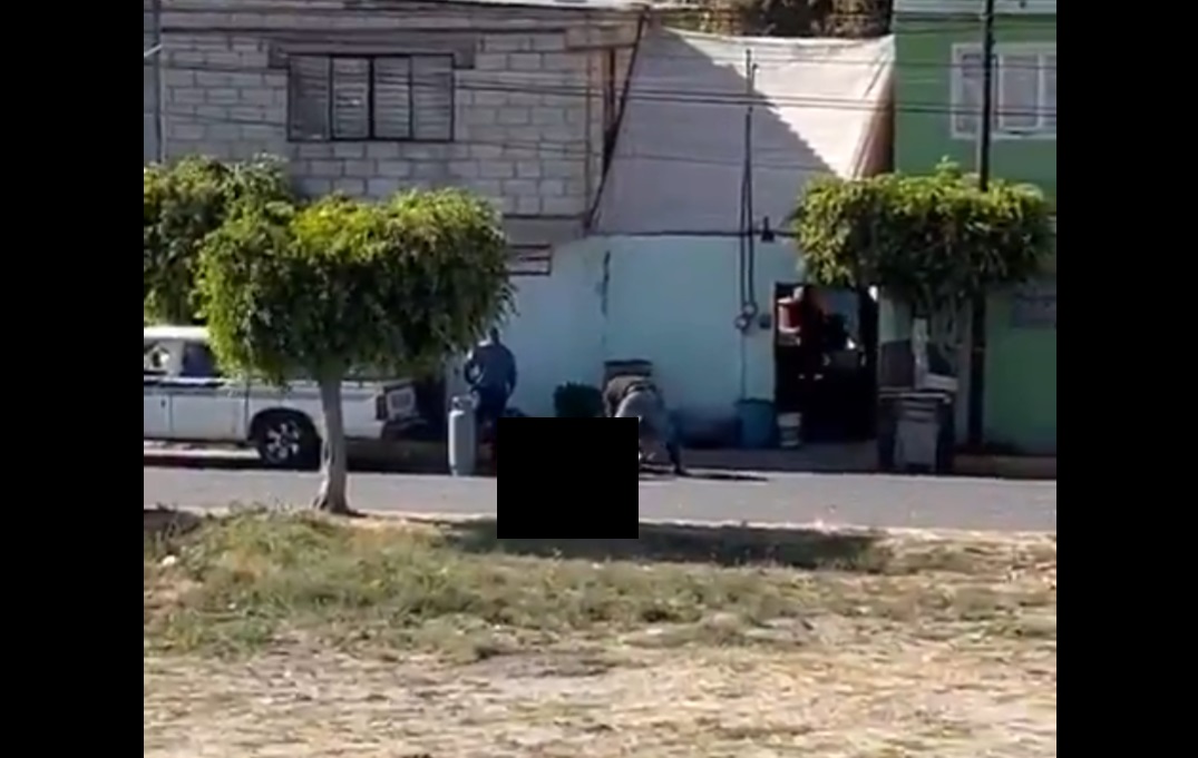 ¡Indignante! Captan en VIDEO brutal crueldad animal en calles de Puebla; golpean con martillo y queman a un marranito