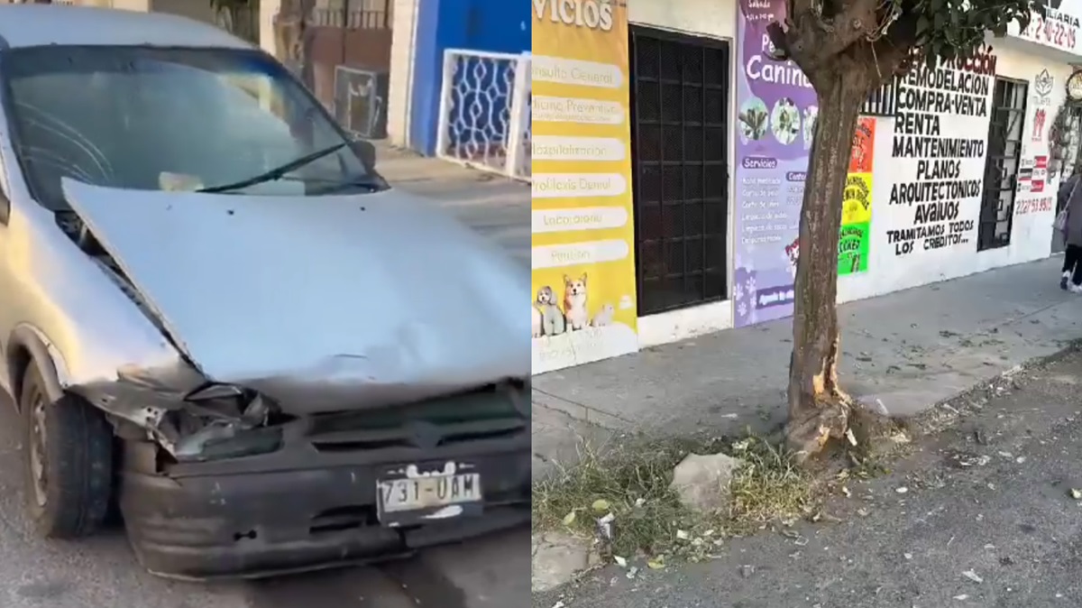 ¡Increíble imprudencia!: Abandonan un Chevy tras chocar contra un árbol en la 7 Sur y 31 Poniente