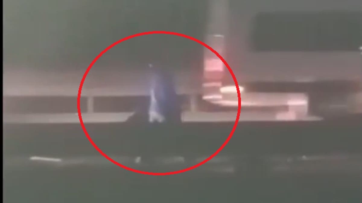 Caos en la autopista: Hombre cruza entre autos en autopista Puebla-Orizaba