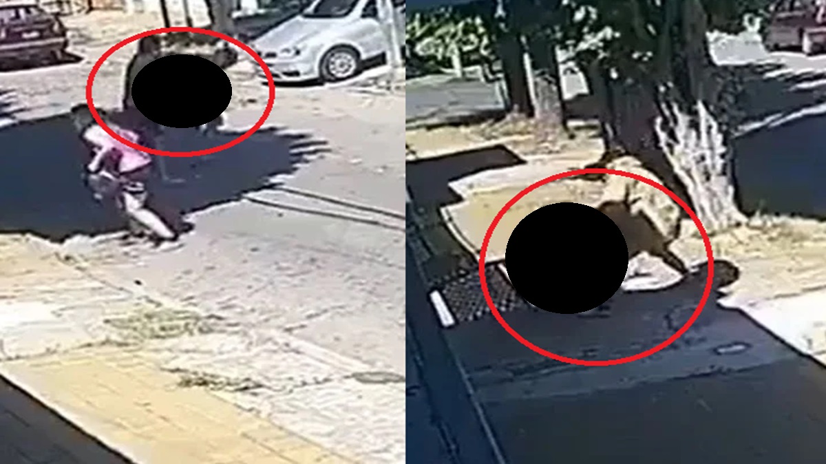 ¡Le salió el héroe! Vecino noquea a ladrón que intentó asaltar a una mujer (VIDEO)