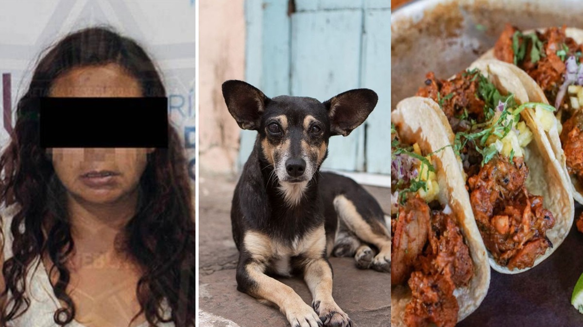 Sentencian a la “Mataperros” de Bosques de San Sebastián: robaba perros y los preparaba como carne enchilada