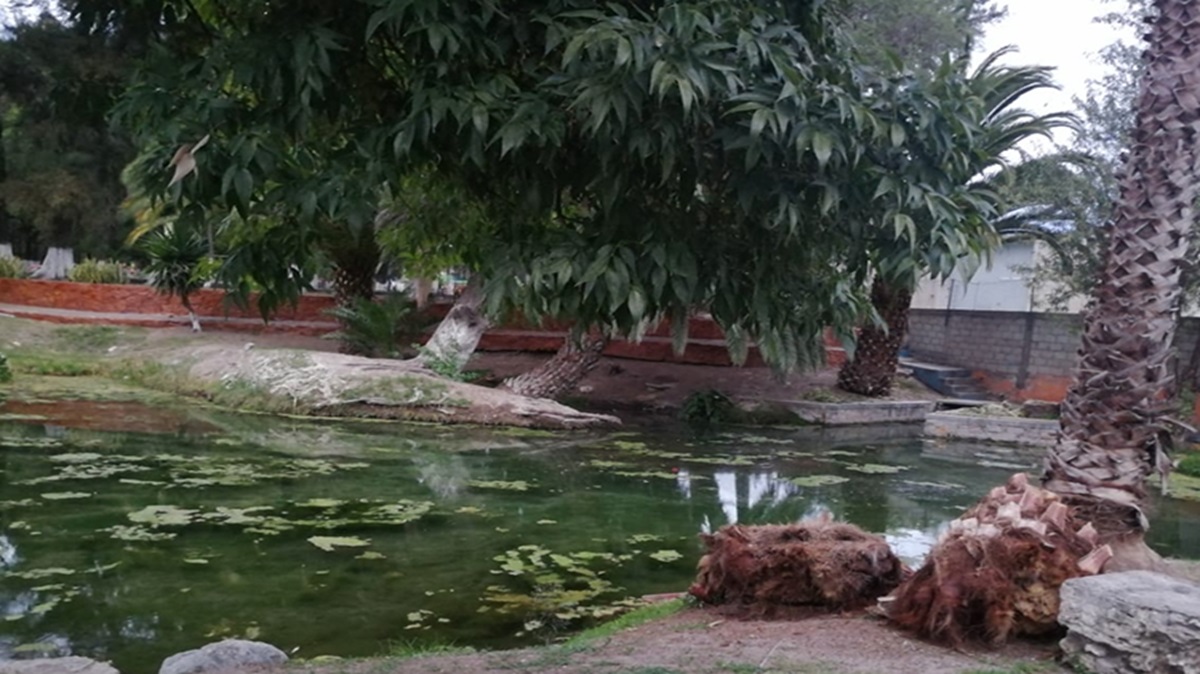 ¡Revive el manantial ‘curativo’ de San Lorenzo Teotipilco! Vecinos celebran su regreso